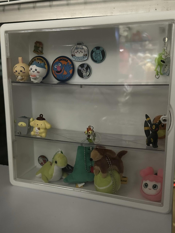 12蚊店瘋傳「盲盒神櫃」香港終於有！Threads爆紅網民喪搶　$39打造專屬痛櫃