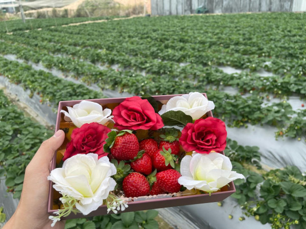 (圖片來源︰FB@大棠有機生態園Tai Tong Organic Ecopark)