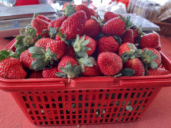 (圖片來源︰FB@老徐農莊 Tsui Farm)