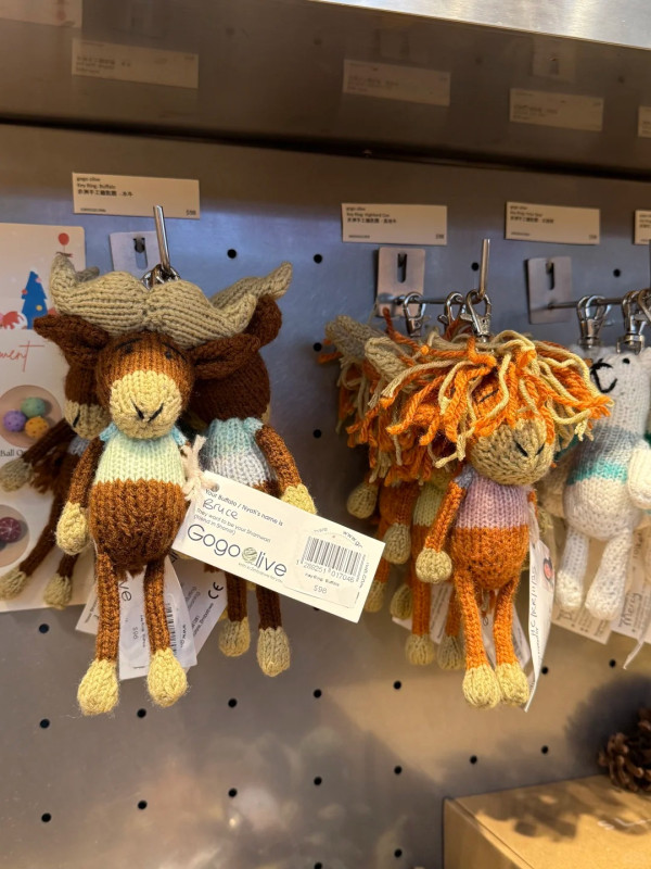 Slowood公仔$98遭瘋搶！遊客掃貨揭「淚崩」細節：每隻都有出世紙