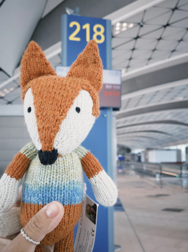 Slowood公仔$98遭瘋搶！遊客掃貨揭「淚崩」細節：每隻都有出世紙