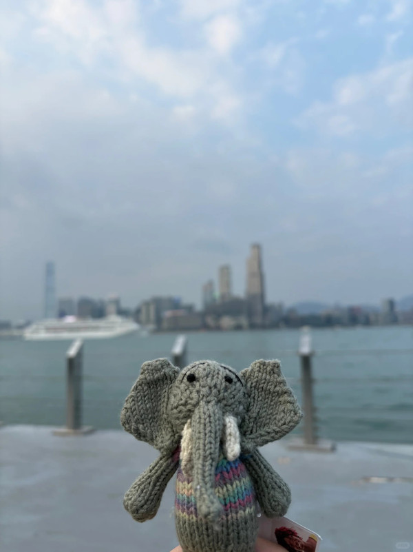 Slowood公仔$98遭瘋搶！遊客掃貨揭「淚崩」細節：每隻都有出世紙