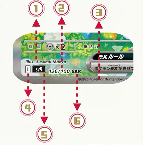 照片來源：小紅書@水箭龟-星圭幻卡