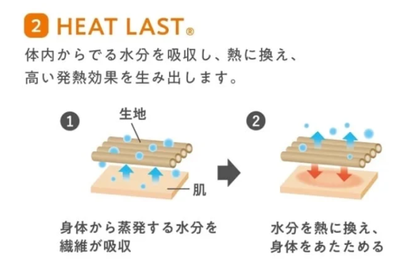 圖片來源：Atsugi 官網