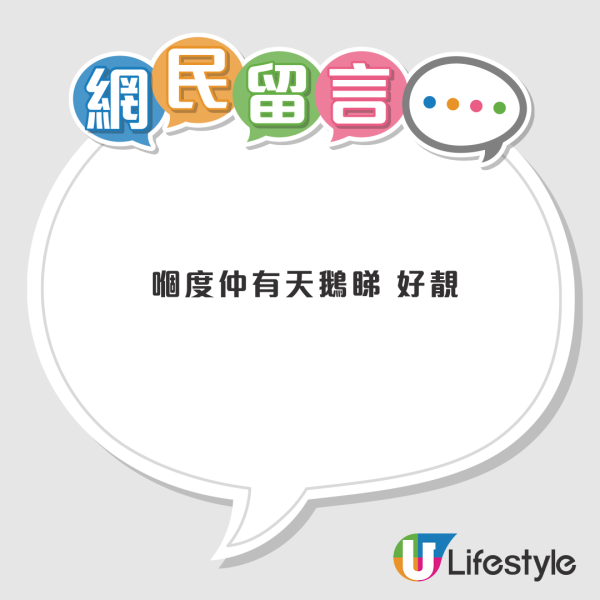 港版「老人與海」麥當勞曝光！坐擁絕美天鵝湖　網民：靚到唔似香港