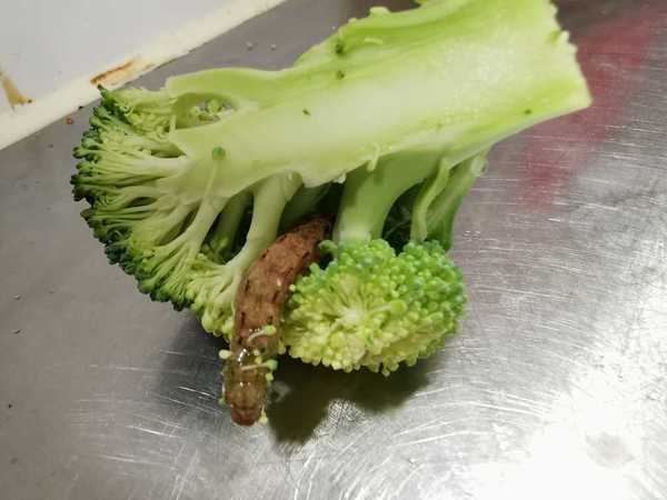 (圖片來源︰FB@今晚煮乜好)