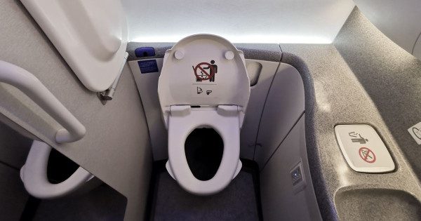 女子投訴頭等艙廁所有窗恐被偷窺？空姐一句神回覆網民笑爆 兼揭飛機洗手間5大隱藏秘密 