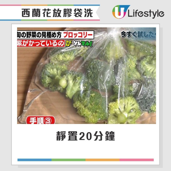 西蘭花有蟲洗極都有?網民驚見西蘭花藏35條蟲 專家教3招洗走藏匿蟲卵