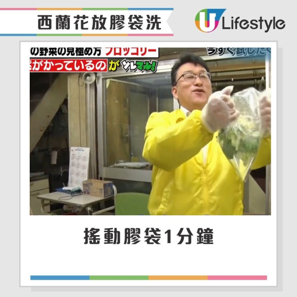 西蘭花有蟲洗極都有?網民驚見西蘭花藏35條蟲 專家教3招洗走藏匿蟲卵