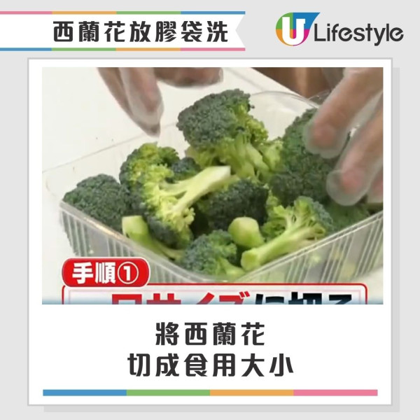 西蘭花有蟲洗極都有?網民驚見西蘭花藏35條蟲 專家教3招洗走藏匿蟲卵