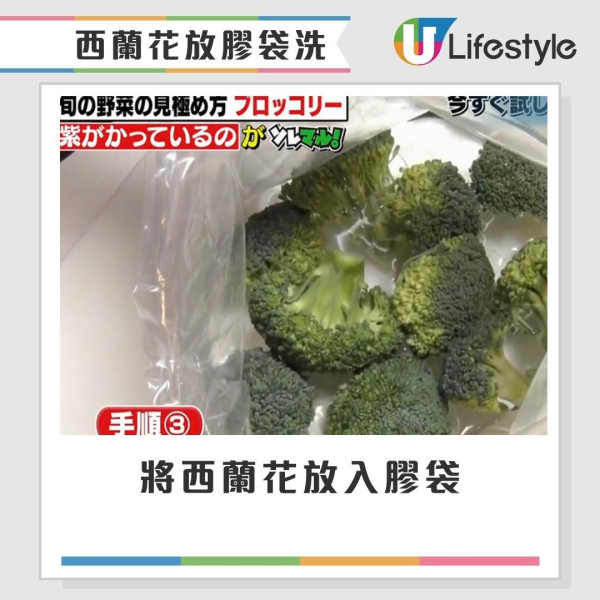 西蘭花有蟲洗極都有?網民驚見西蘭花藏35條蟲 專家教3招洗走藏匿蟲卵