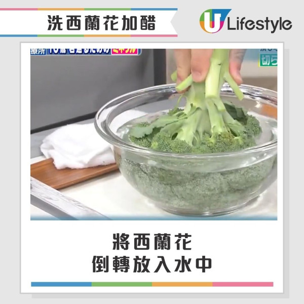 西蘭花有蟲洗極都有?網民驚見西蘭花藏35條蟲 專家教3招洗走藏匿蟲卵