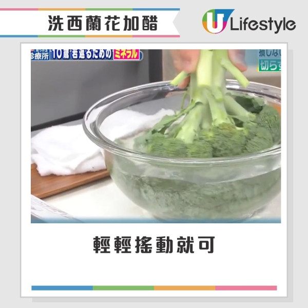 西蘭花有蟲洗極都有?網民驚見西蘭花藏35條蟲 專家教3招洗走藏匿蟲卵