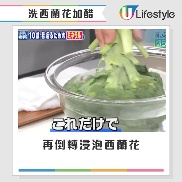 西蘭花有蟲洗極都有?網民驚見西蘭花藏35條蟲 專家教3招洗走藏匿蟲卵