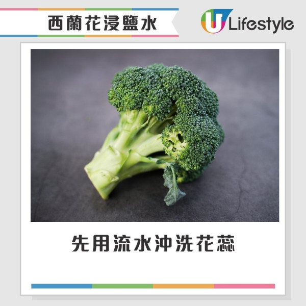 西蘭花有蟲洗極都有?網民驚見西蘭花藏35條蟲 專家教3招洗走藏匿蟲卵