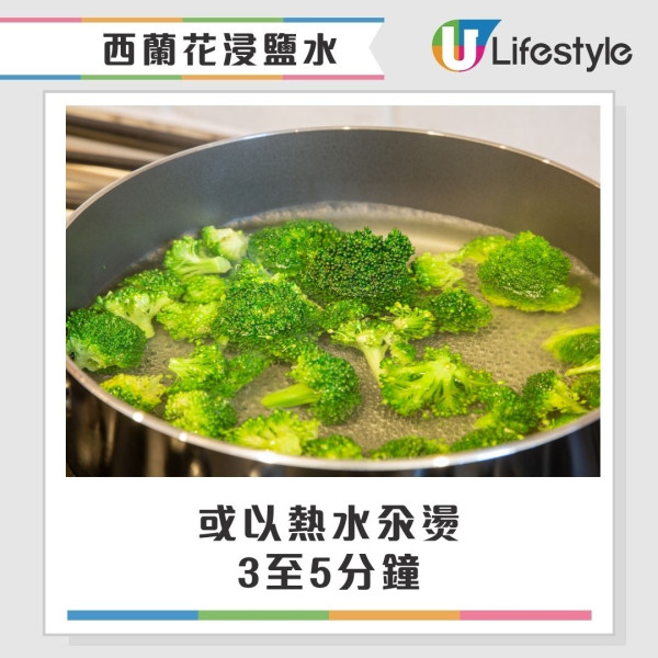 西蘭花有蟲洗極都有?網民驚見西蘭花藏35條蟲 專家教3招洗走藏匿蟲卵