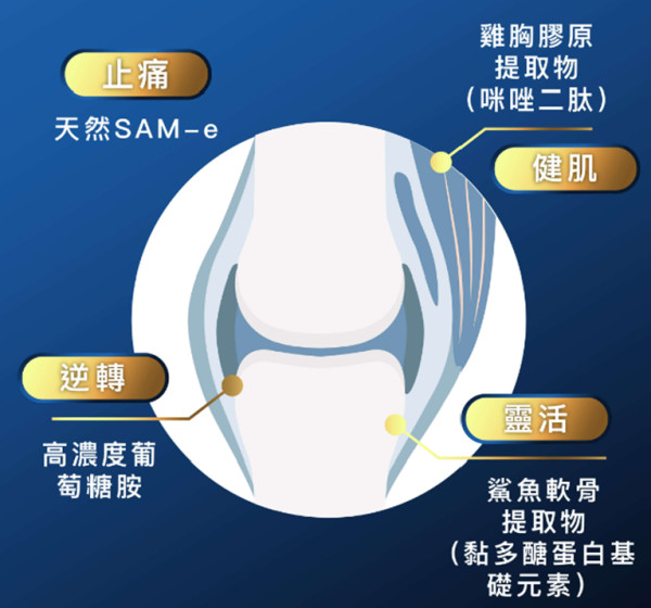 告別關節痛、肩周炎、腰背痛：Return關節筋肌配方 逆轉關節年齡 重拾無痛生活
