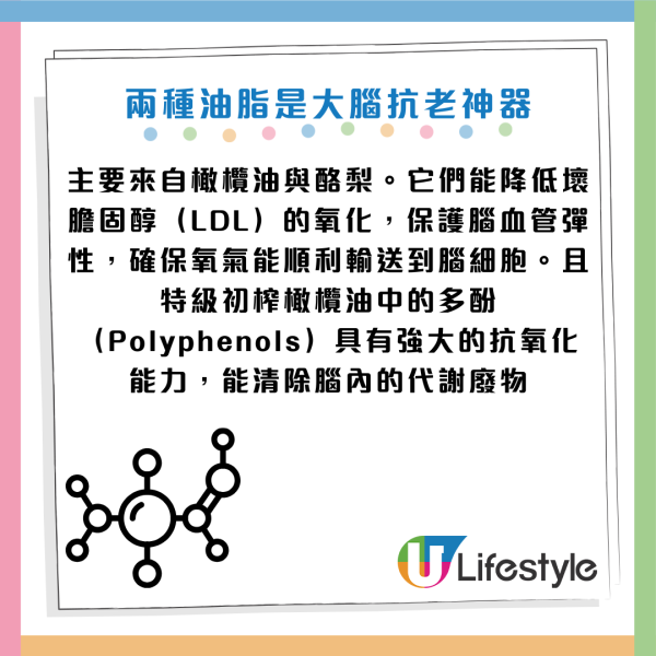 腦部健康｜60歲男戒油食水煮餐竟致「大腦乾枯」險失智！醫生教揀3種保命好油 逆轉腦退化