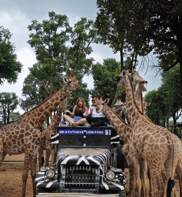 照片來源：IG@krysellawong