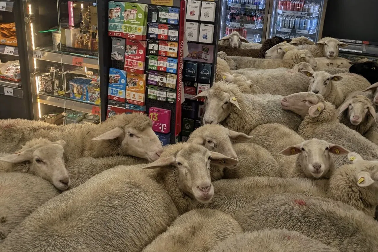 圖片來源：osthessen-news