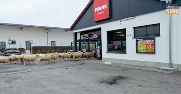 圖片來源：FB @osthessen-news.de