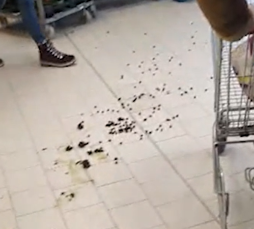 圖片來源：FB @osthessen-news.de