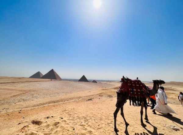 照片來源：Facebook@SO Yuk-wa, Louisa 蘇玉華