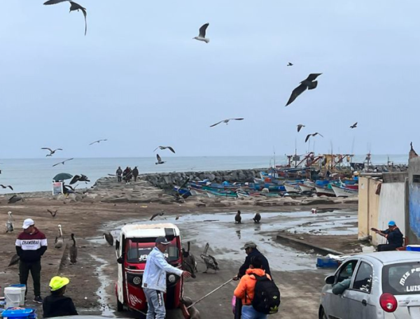 照片來源:Facebook@SO Yuk-wa, Louisa 蘇玉華 照片來源:Facebook@SO Yuk-wa, Louisa 蘇玉華