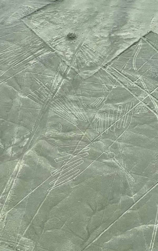 照片來源:Facebook@SO Yuk-wa, Louisa 蘇玉華 照片來源:Facebook@SO Yuk-wa, Louisa 蘇玉華