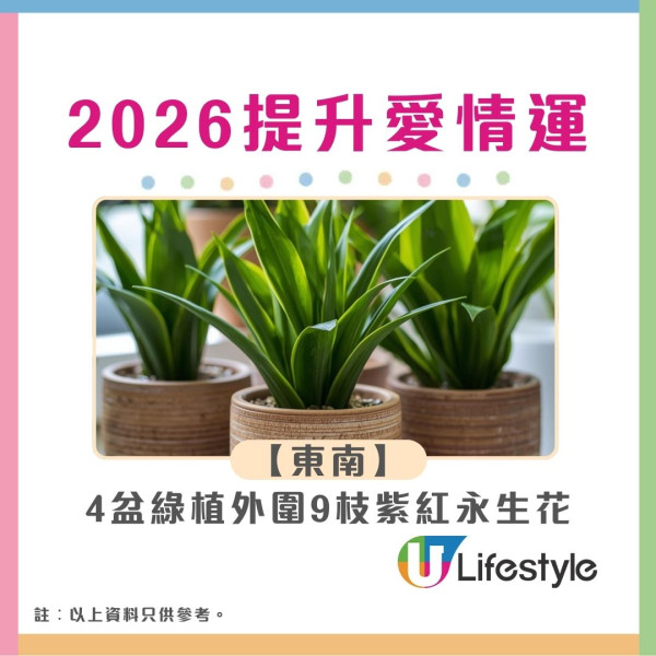 九宮飛星2026︱馬年風水佈局財位病位大公開 立春2大吉時佈局迎接好運！