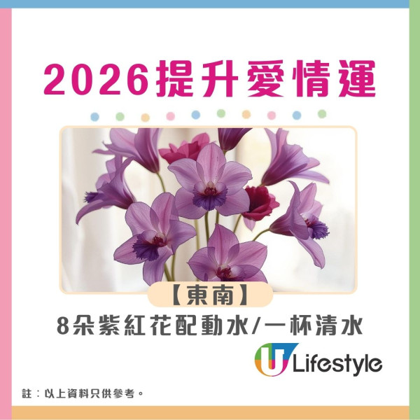 九宮飛星2026︱馬年風水佈局財位病位大公開 立春2大吉時佈局迎接好運！