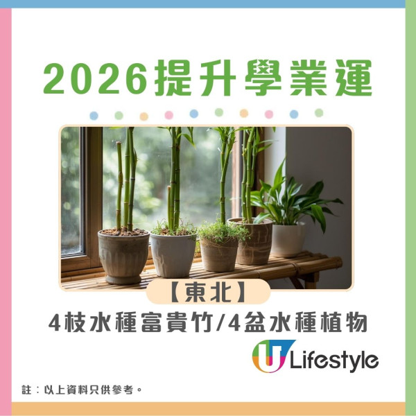 九宮飛星2026︱馬年風水佈局財位病位大公開 立春2大吉時佈局迎接好運！