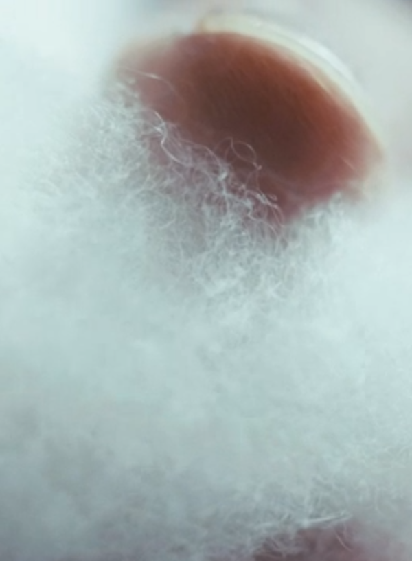 照片來源:日本 Uniqlo官方網站 照片來源:日本 Uniqlo官方網站