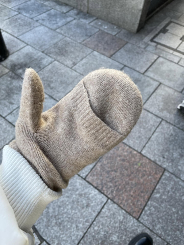 凍到手麻必備！呢款$99手套標榜吸濕發熱？網民實測：唔係裝飾真係會暖！去日本北海道都夠用