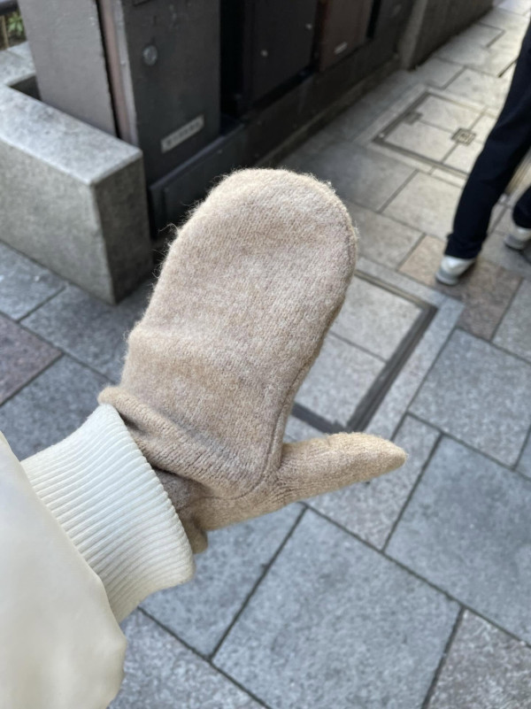 凍到手麻必備！呢款$99手套標榜吸濕發熱？網民實測：唔係裝飾真係會暖！去日本北海道都夠用