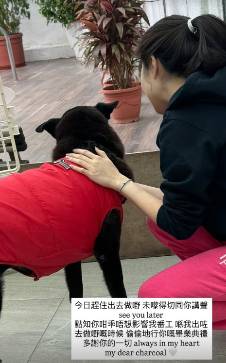 許紹雄女兒許惠菁IG悲痛發文哭別摯親 短時間再歷生離死別：未嚟得切…