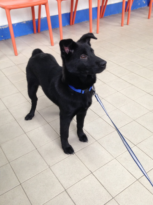 許紹雄女兒許惠菁IG悲痛發文哭別摯親 短時間再歷生離死別：未嚟得切…