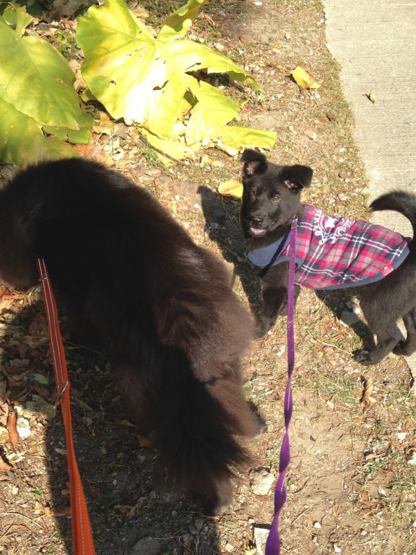 許紹雄女兒許惠菁IG悲痛發文哭別摯親 短時間再歷生離死別：未嚟得切…