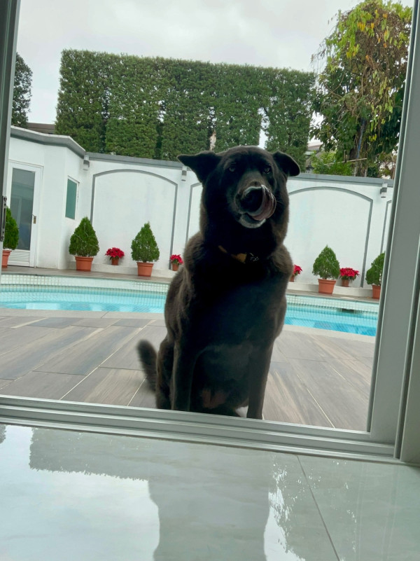 許紹雄女兒許惠菁IG悲痛發文哭別摯親 短時間再歷生離死別：未嚟得切…