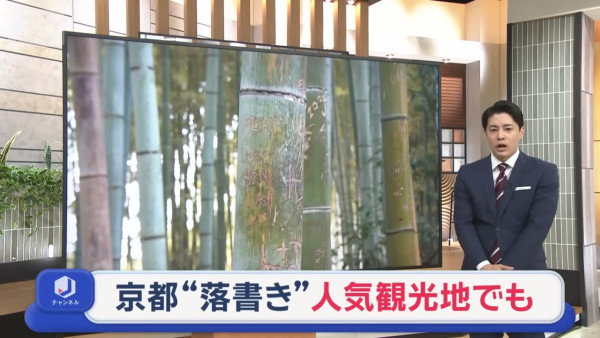 來源：Ann News、日本經濟新聞 