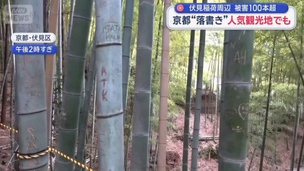 來源：Ann News、日本經濟新聞 