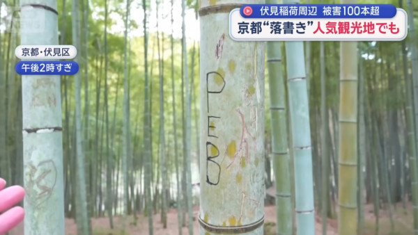 來源：Ann News、日本經濟新聞 