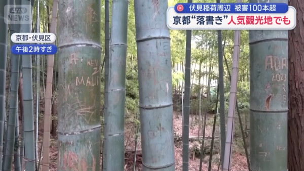 來源：Ann News、日本經濟新聞 