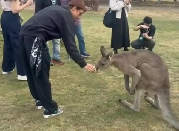 照片來源:Instagram@_kisang_ 照片來源:Instagram@_kisang_