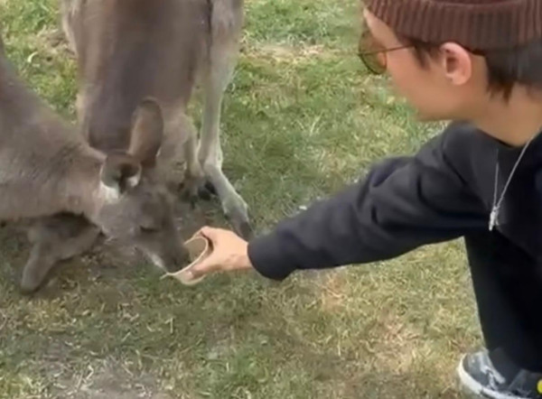 照片來源:Instagram@_kisang_ 照片來源:Instagram@_kisang_