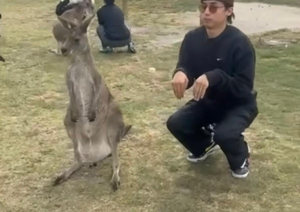 照片來源:Instagram@_kisang_ 照片來源:Instagram@_kisang_