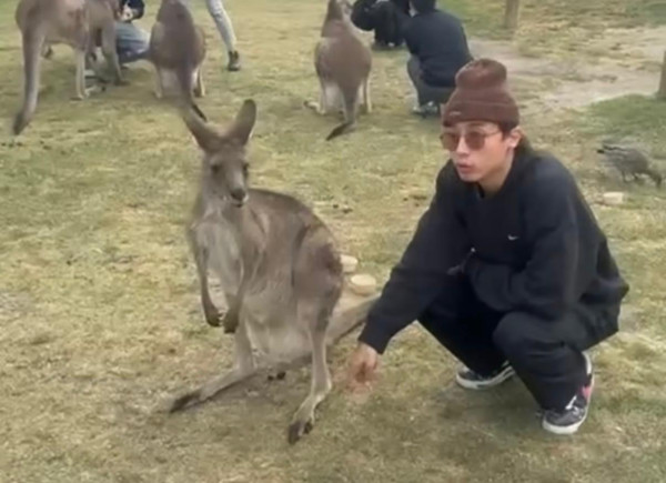 照片來源:Instagram@_kisang_ 照片來源:Instagram@_kisang_