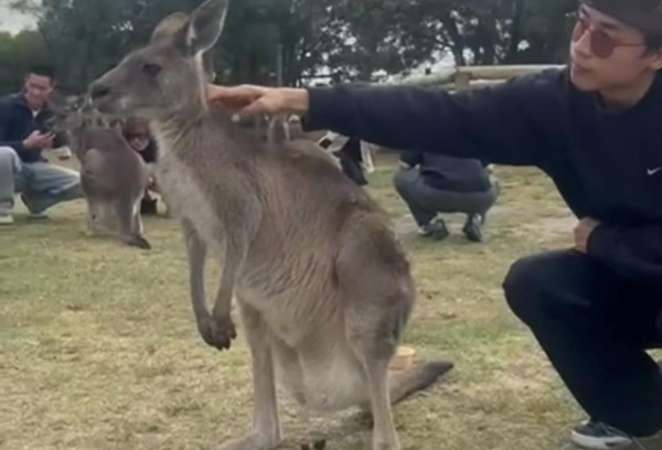 照片來源:Instagram@_kisang_ 照片來源:Instagram@_kisang_