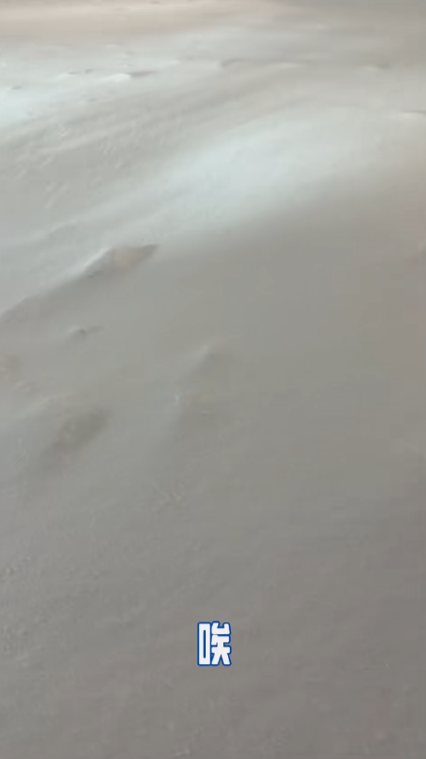 照片來源:小紅書@群姐在滑雪(道外萌新版) 照片來源:小紅書@群姐在滑雪(道外萌新版)