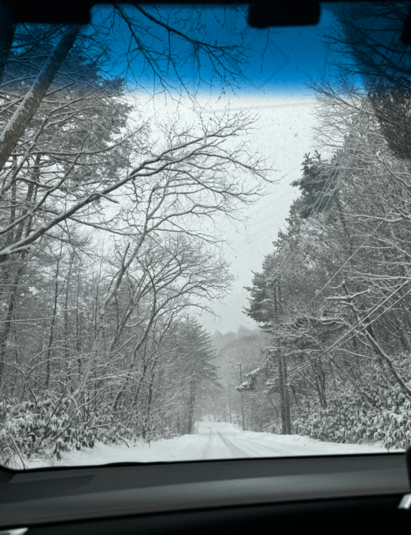 照片來源:小紅書@voxparva 照片來源:小紅書@voxparva